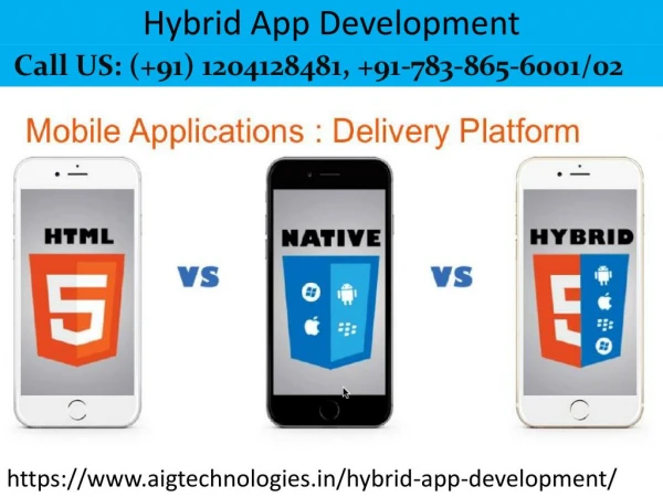 Hybrid App Development At Noida, Delhi, Gurgaon | India