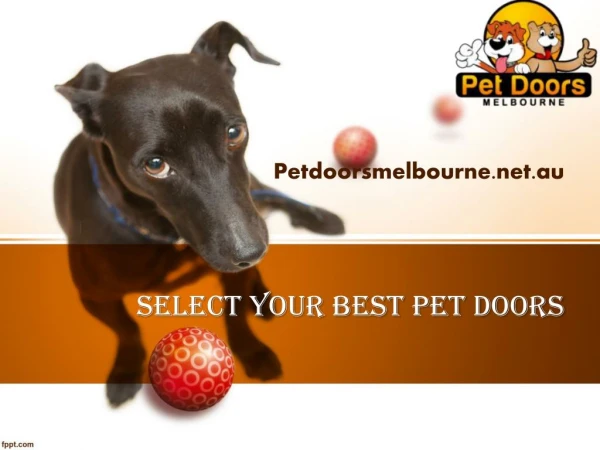 Select best Pet Doors Melbourne