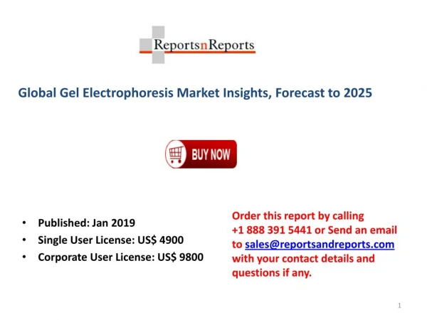 Gel Electrophoresis Market - Global Industry Analysis, Size, Share, Growth, Trends, and Forecast 2019– 2025