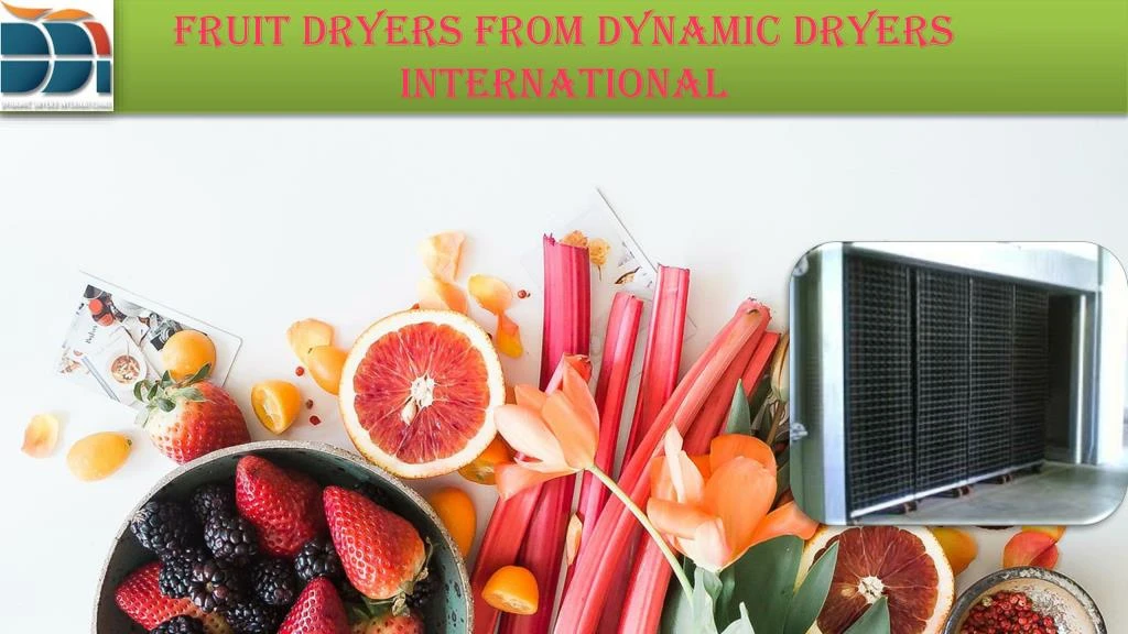 fruit dryers from dynamic dryers international