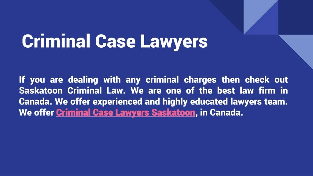 criminal case lawyers