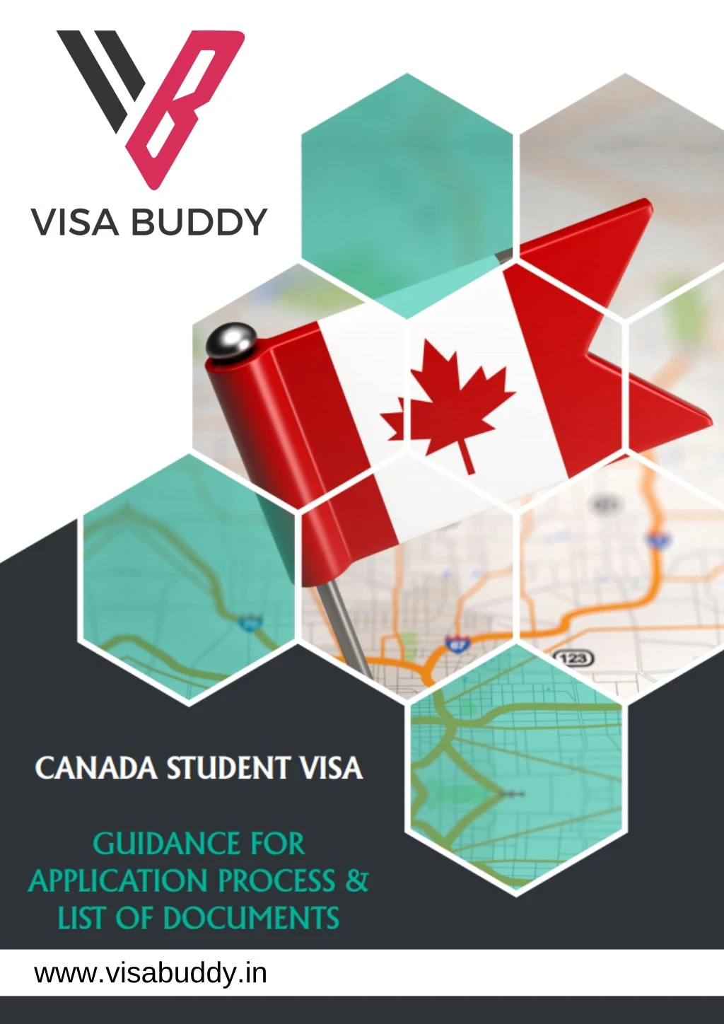 www visabuddy in