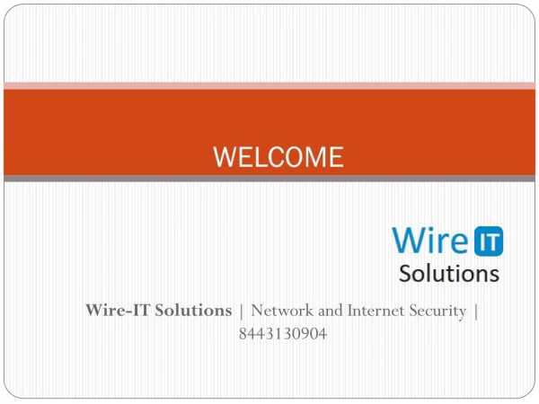Wire-IT Solutions | 8443130904 | Network and Internet Security