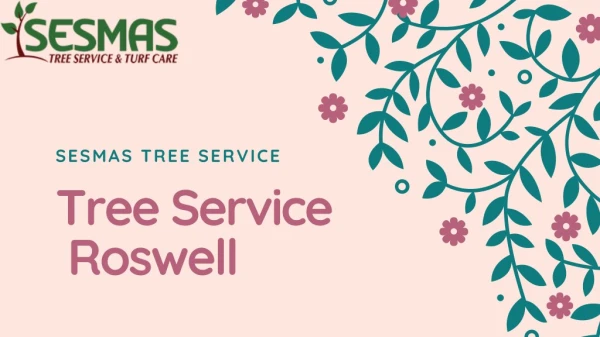Hiring Tree Service In Roswell