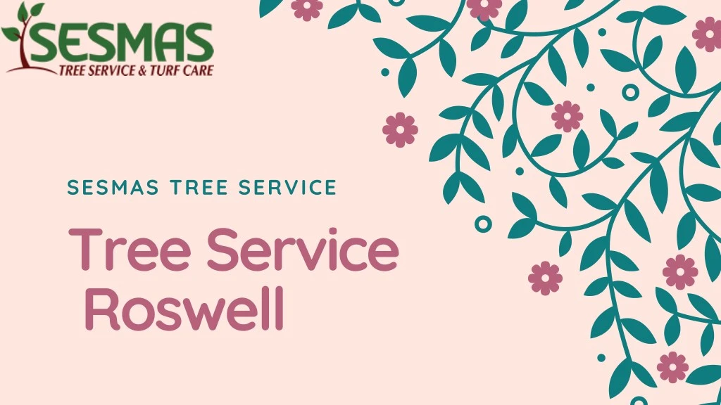 sesmas tree service tree service roswell