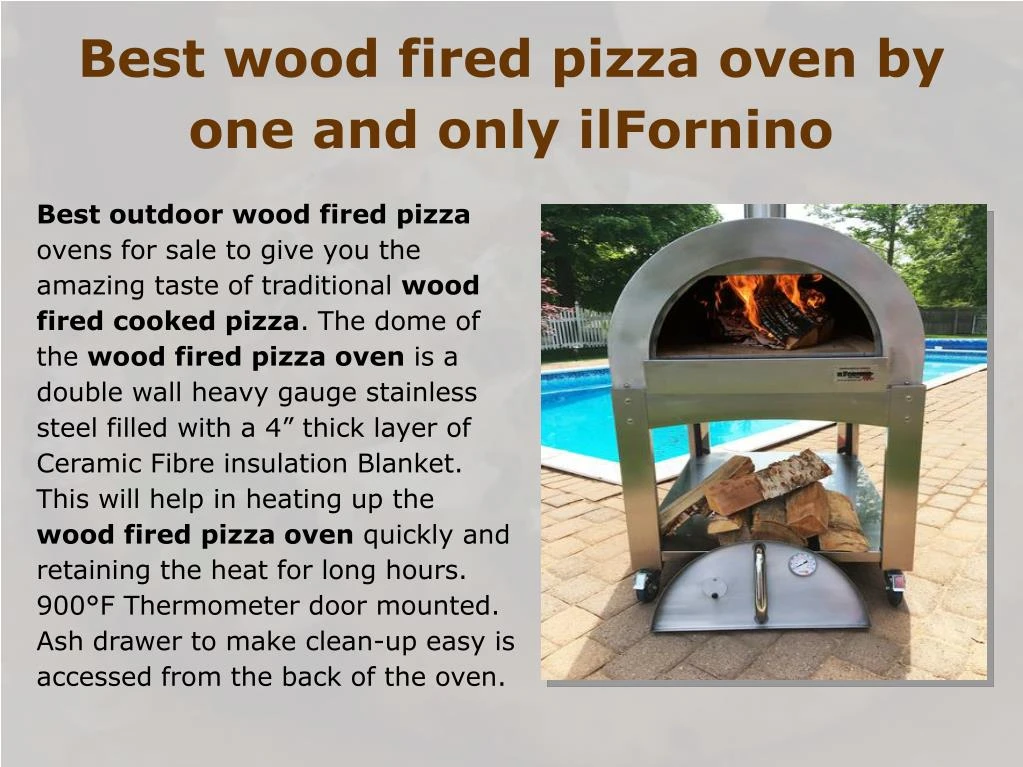 best wood fired pizza oven by one and only