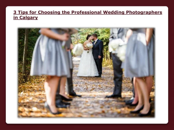 Professional wedding photographers in calgary