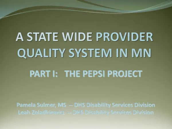 A STATE WIDE PROVIDER QUALITY SYSTEM IN MN