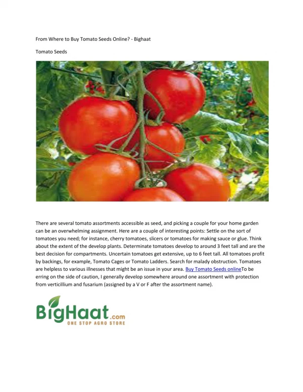 Buy Tomato Seeds Online