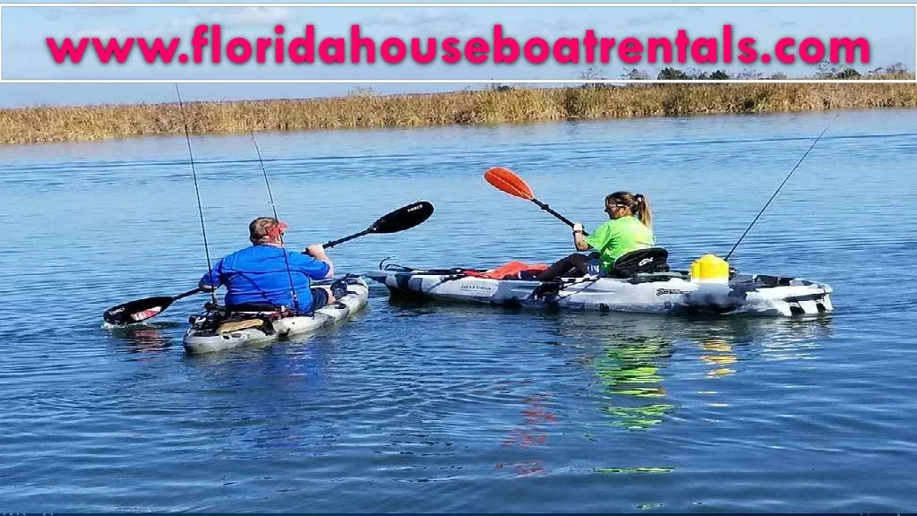 www floridahouseboatrentals com