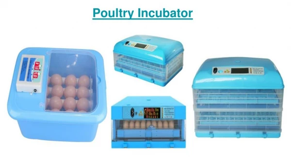 Buy Best Poultry Incubator & Poultry Equipment At An Affordable Price | Popular Poultry