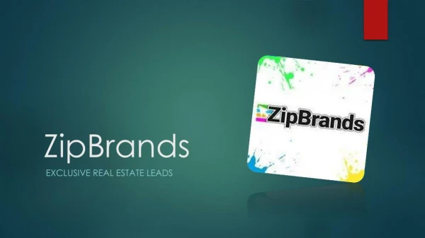 Exclusive Real Estate Leads - ZipBrands