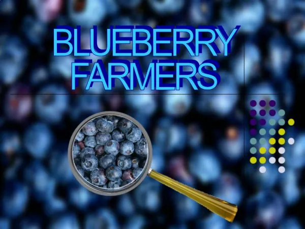 BLUEBERRY FARMERS