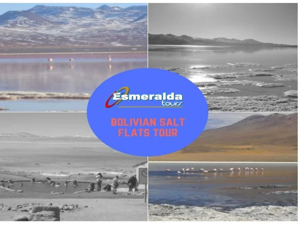 Bolivian Salt Flats Tourism