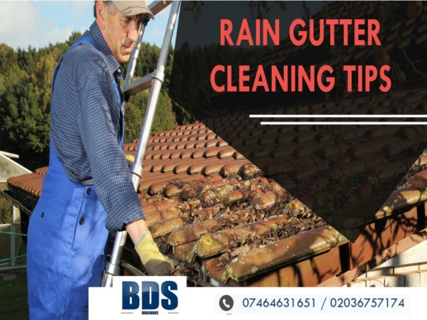 Rain Gutter Cleaning and Maintenance Tips