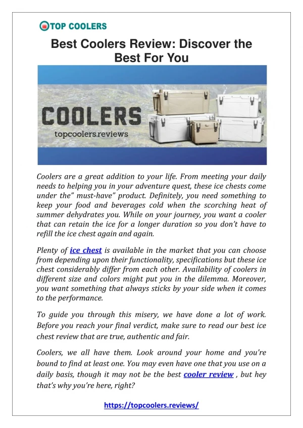 Best Coolers Review: Discover The Best For You