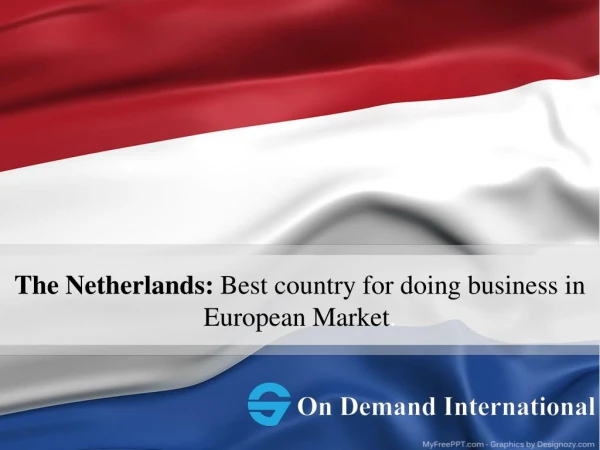 Company Formation In Netherlands | On Demand International