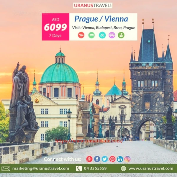 Tours and Travels latest offers 2019