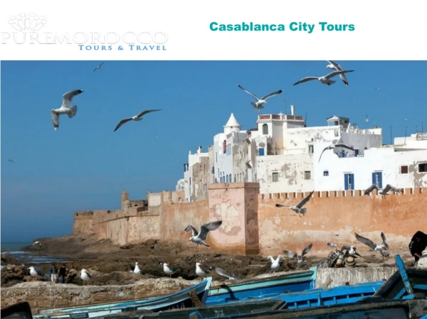 Best Casablanca City Tours with Puremoroccotours