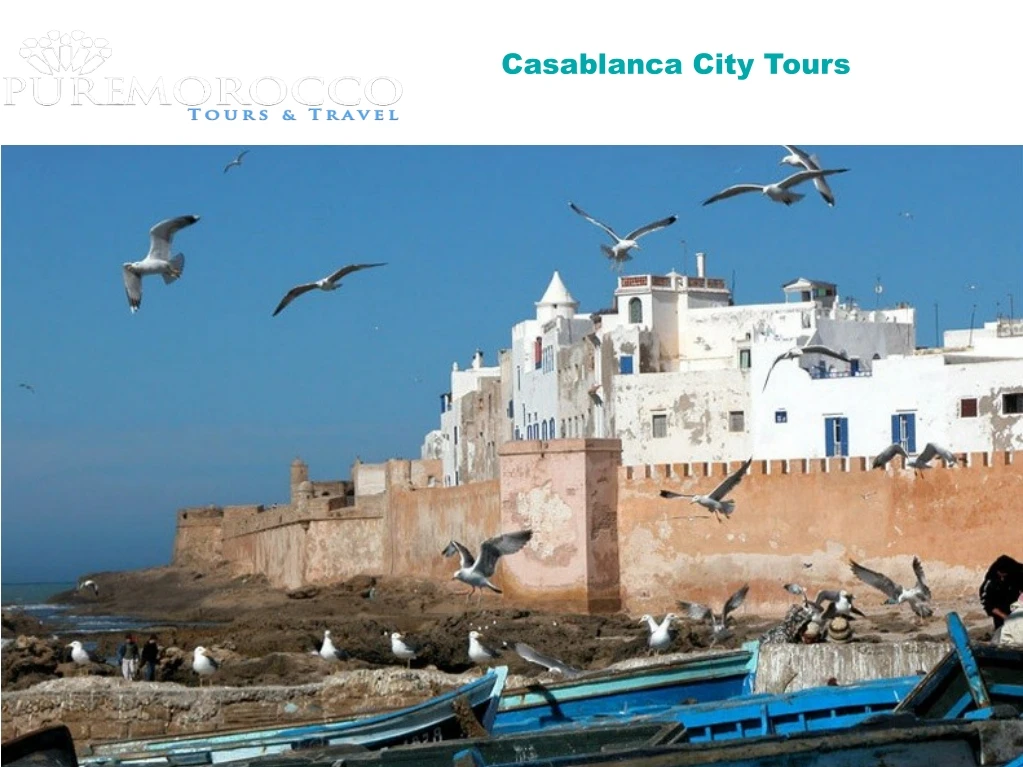 casablanca city tours