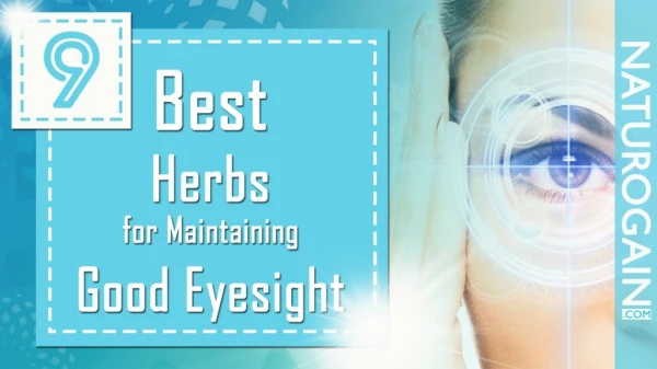 9 Best Herbs for Maintaining Good Eyesight Naturally at Home