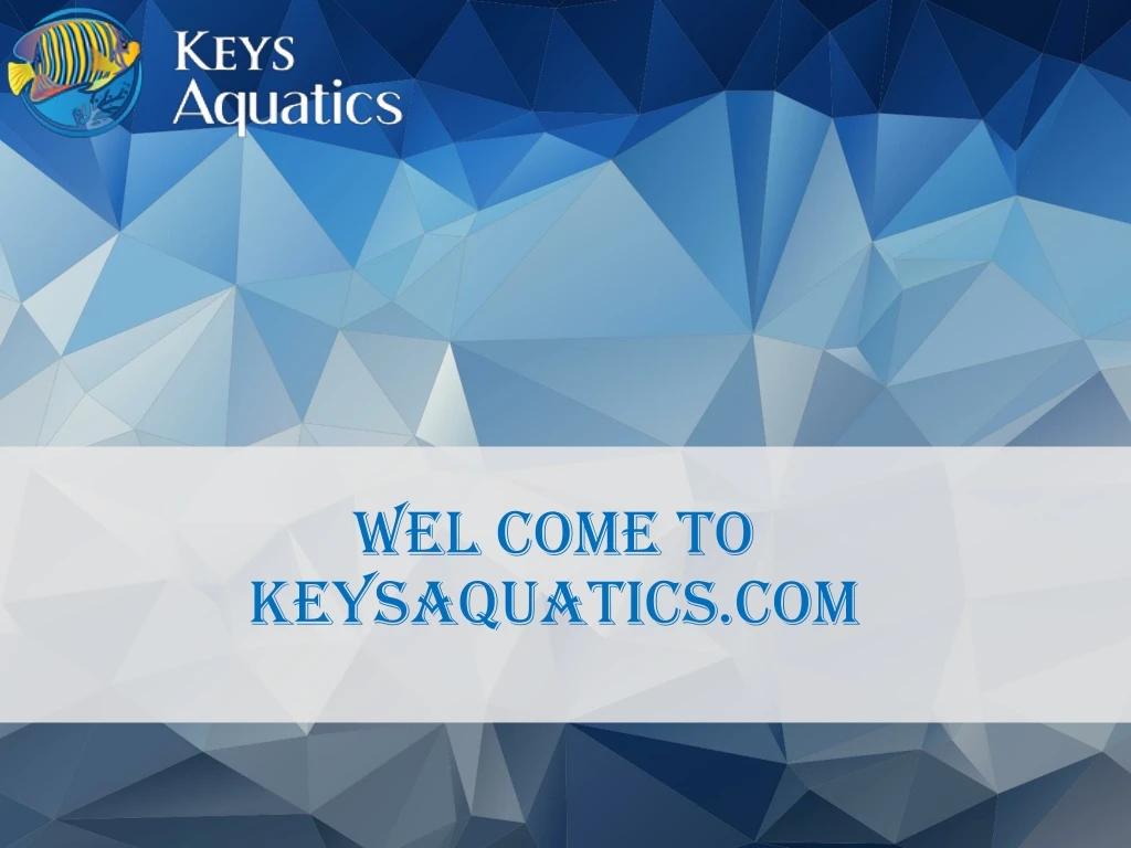 wel come to keysaquatics com