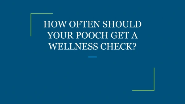 HOW OFTEN SHOULD YOUR POOCH GET A WELLNESS CHECK?
