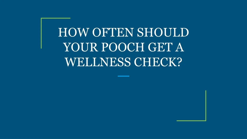 how often should your pooch get a wellness check