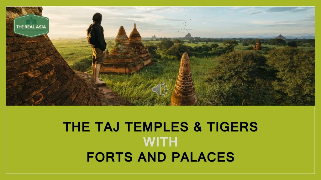 the taj temples tigers with forts and palaces