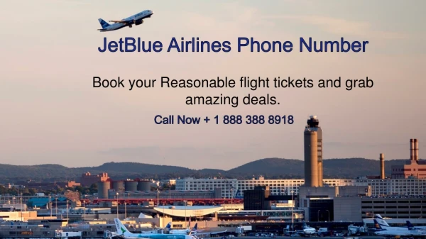Contact at JetBlue Airlines Phone Number to Grab Best Ticket Booking Deals