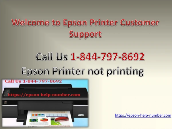 Now Fix if Your Epson Printer not printing 1-844-797-8692