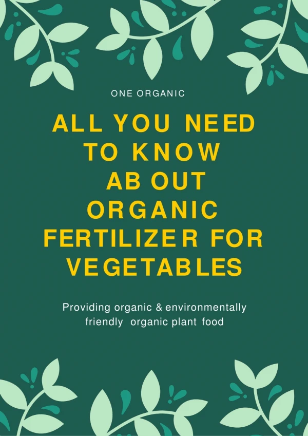All You Need To Know About Organic Fertilizer for Vegetables