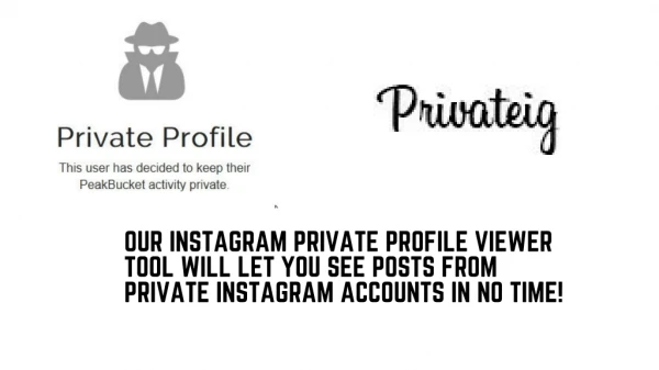 online instagram profile viewer - Private IG