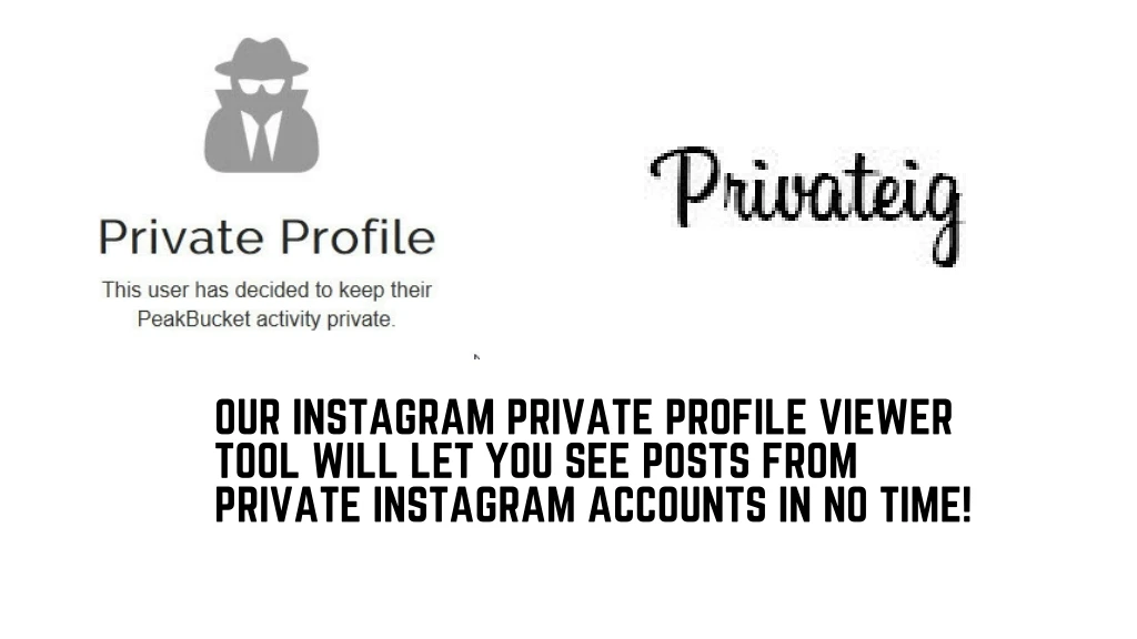 our instagram private profile viewer tool will