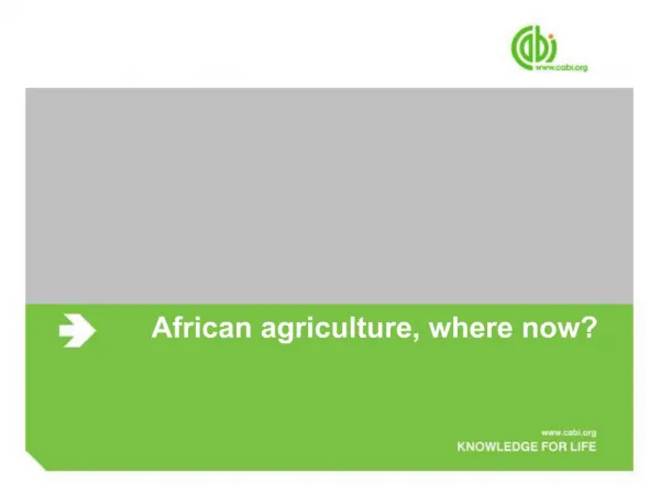 African agriculture, where now