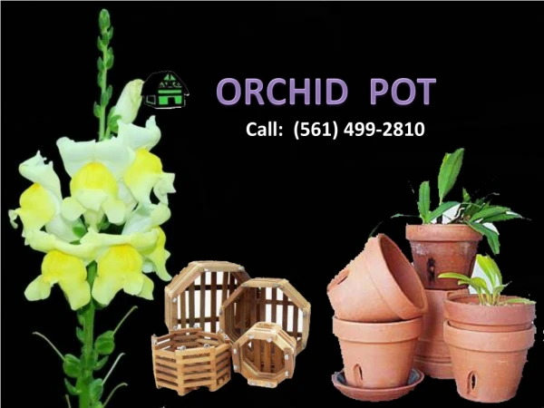 Best Orchid Pot from Green Barn Orchid Supplies