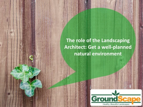The role of the Landscaping Architect: Get a well-planned natural environment