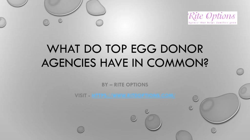 what do top egg donor agencies have in common
