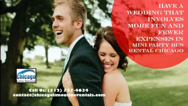 Have A Wedding That Involves More Fun and Fewer Expenses in Mini Party Bus Rental Chicago