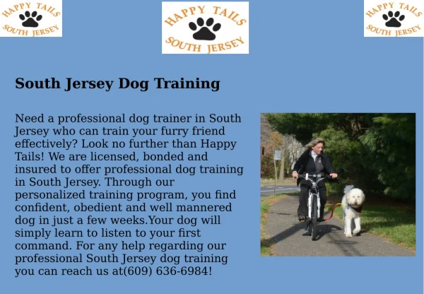 Professional South Jersey Dog Training