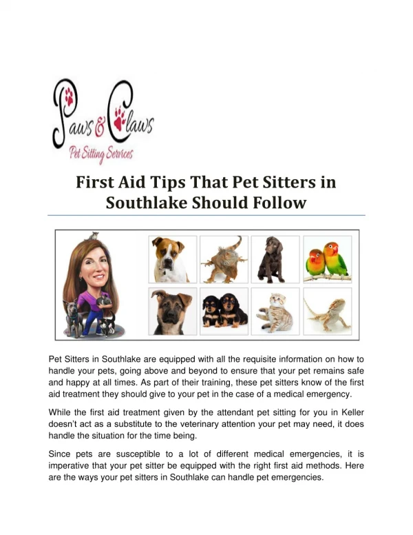 First Aid Tips That Pet Sitters in Southlake Should Follow