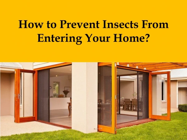 How to Prevent Insects from Entering Your Home?