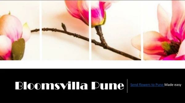 Bloomsvilla Made Easy Send Flowers to Pune