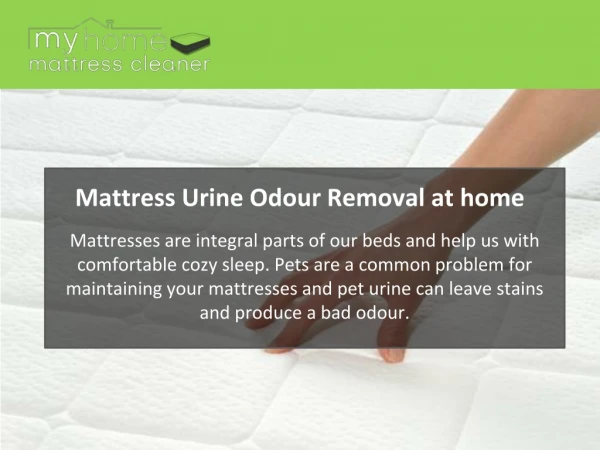 Mattress Urine Odour Removal at home