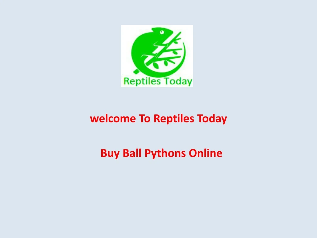 welcome to reptiles today