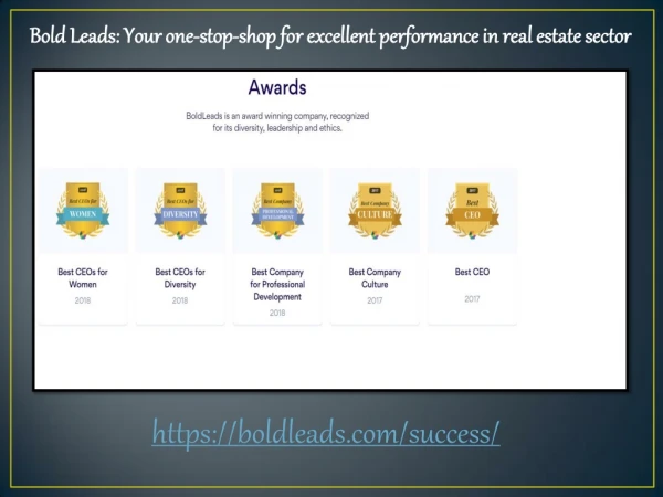 BoldLeads Review - Your one-stop-shop for excellent performance in real estate sector