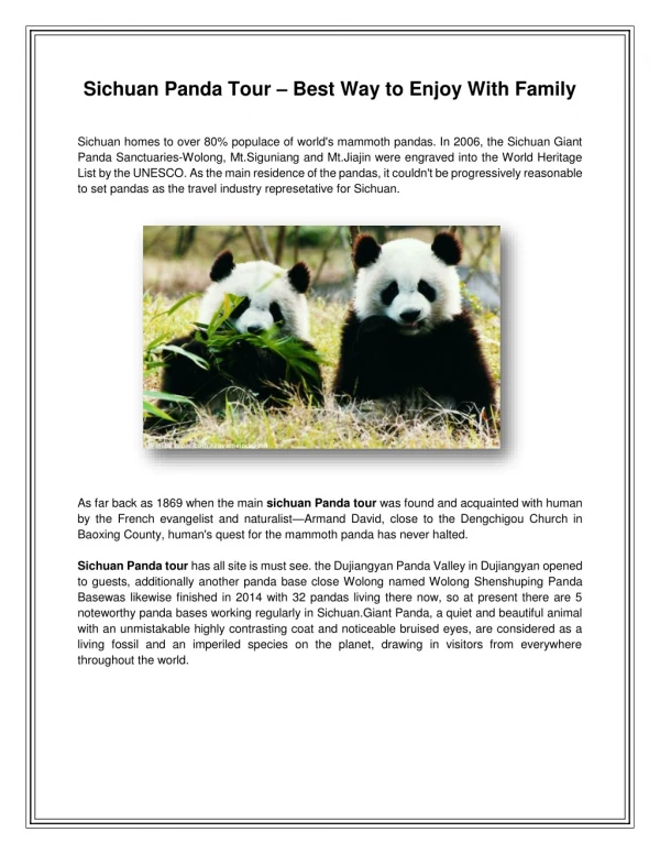 Sichuan Panda Tour – Best Way to Enjoy With Family