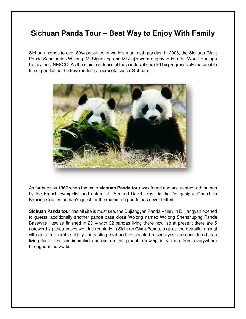 sichuan panda tour best way to enjoy with family