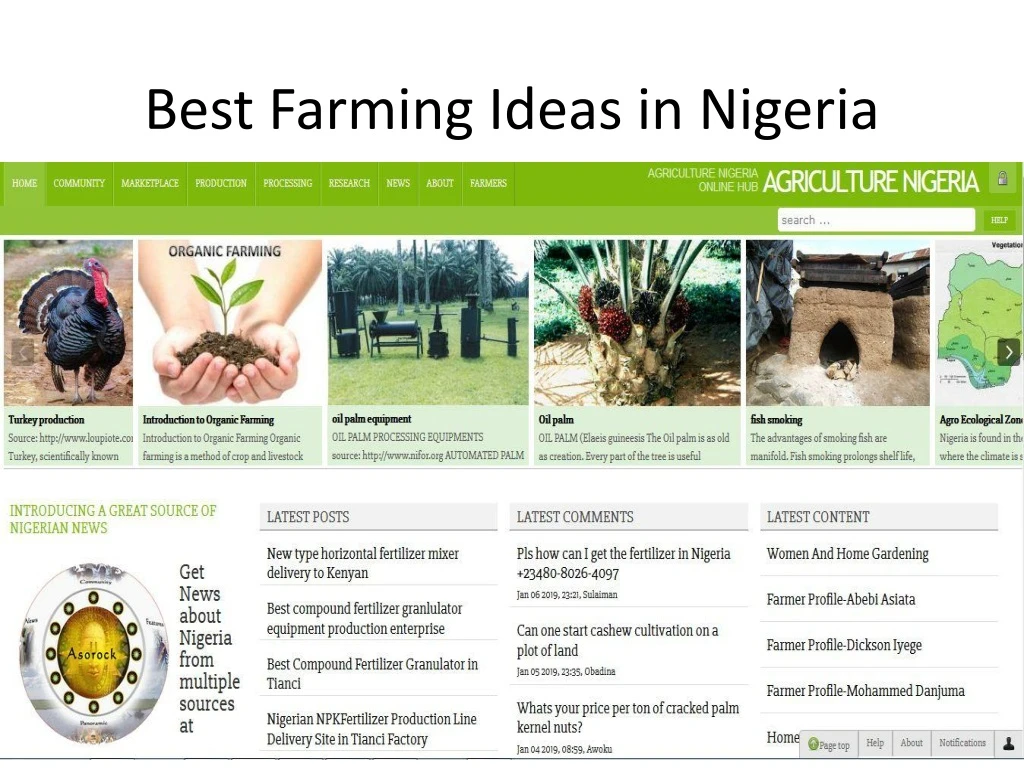 best farming ideas in nigeria
