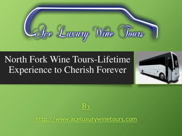 North Fork Wine Tours-Lifetime Experience to Cherish Forever